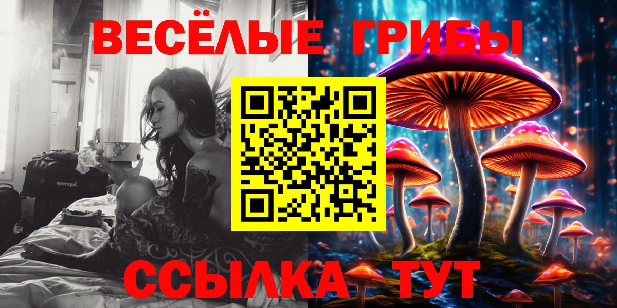 Обь  Галлюциногенные грибы Cubensis  Псилоцибиновые грибы Psilocybine cubensis  Вход с VPN 